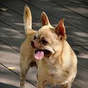 ���� �������, ������, 60 ��� - ��������� 4 �������� 2025 � ������ ������ ��������