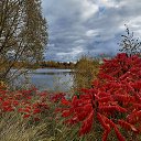 ���� Vidas, ��������, 64 ���� - ��������� 15 ������� 2025 � ������ ������ ��������