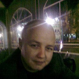 , 41, 