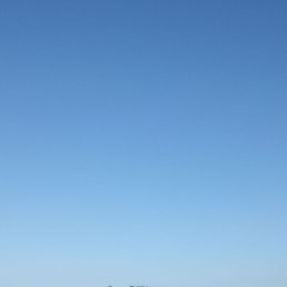 �����, �����-���������, 41 ���