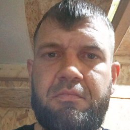 �����, ��������, 37 ���