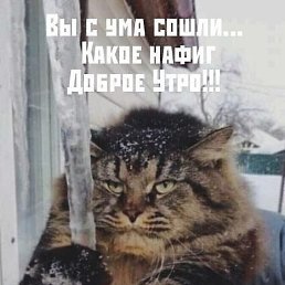 , , 54 