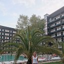 ���� ������, �������, 43 ���� - ��������� 14 ������� 2025 � ������ ���� ����������