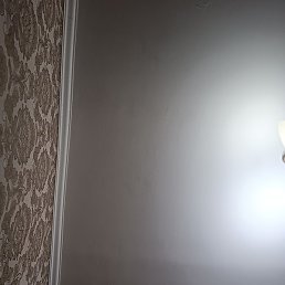 ��������, �������, 40 ���