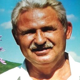 �������, ������, 66 ���