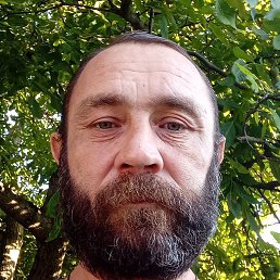 ������, ������-��-����, 48 ���