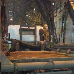 ���� �����, ������, 51 ��� - ��������� 8 ������ 2024