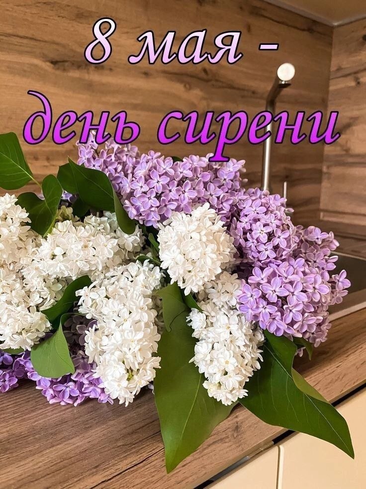 ����������, �����, �������, �������, �������, ����������� ����� ������ ���������� ������...