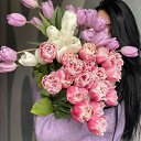 ���� Slava, ������ - ��������� 10 ����� 2026 � ������ ���� ����������