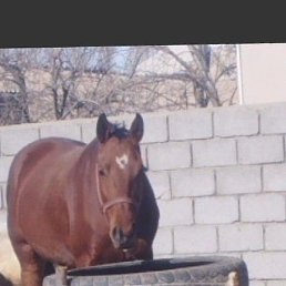 ����, �������, 28 ���