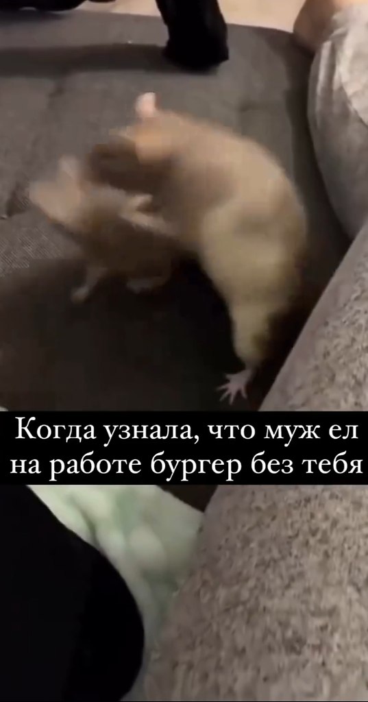     )).https://fotostrana.ru/away?to=/sl/Ext5