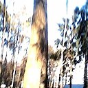 ���� ��������, ������, 68 ��� - ��������� 23 ������� 2024 � ������ ���� ����������