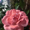 ���� Y, ������� - ��������� 23 ������� 2025 � ������ ���� ����������