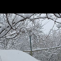 Vaz, ������, 42 ����