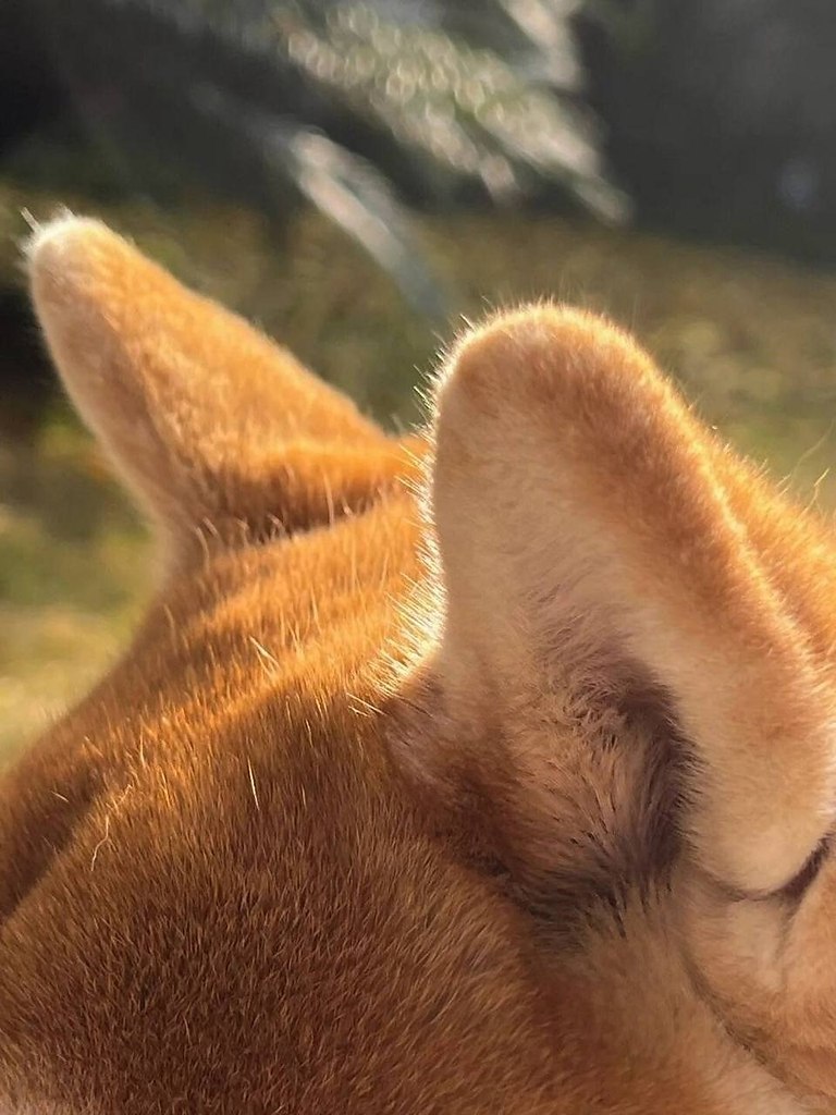 ��� ���� :3 - 2