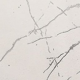 �������, ������-��-����, 51 ���