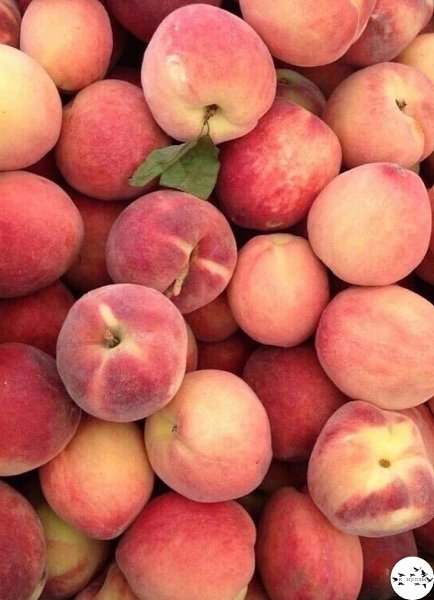 ��� �����e�e� �epc��o�.���� ����� ����� � �������