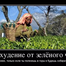 ���� ���������, ������ - ��������� 14 ������� 2026