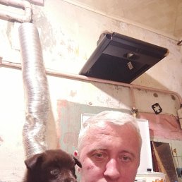 �����, 39 ���, ���������