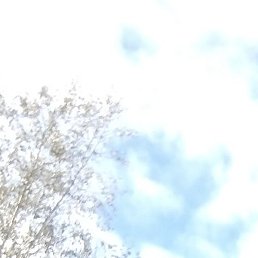 �����, �����, 23 ����