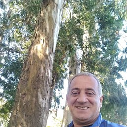 ���� ������, �������, 53 ���� - ��������� 3 ������ 2026