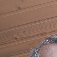 , 51 , 