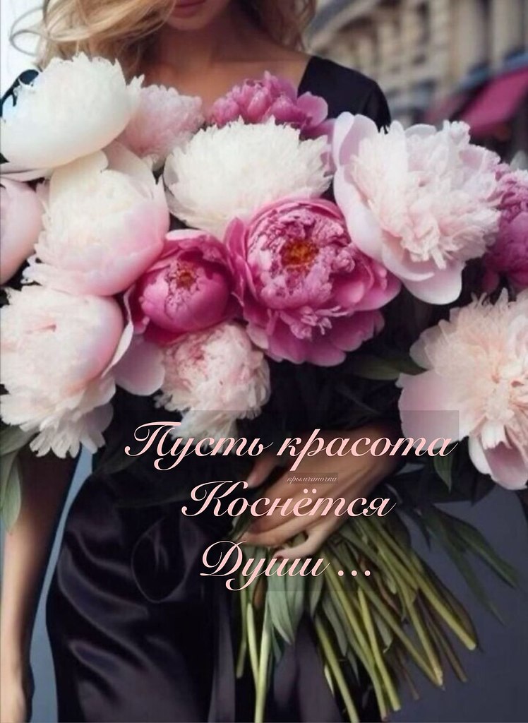   - 19  2025  15:21