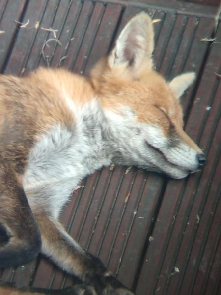      ? :    ,       ... - 5