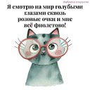 ���� �������, ������� �����, 55 ��� - ��������� 15 ��� 2026 � ������ ���� ����������
