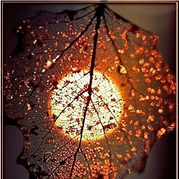 ���� ���, �����������, 40 ��� - ��������� 22 ������� 2023