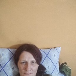 , 33, 