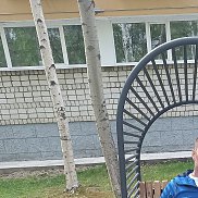 , 35 , 