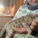 ���� �������, ������, 50 ��� - ��������� 22 ������� 2023 � ������ ���� ����������