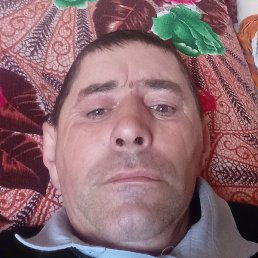 ����� ��������, �������, 44 ����