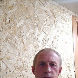 , 51 , 