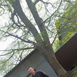 , 29, 