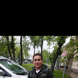 , 33, 