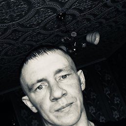 ������, �����, 37 ���