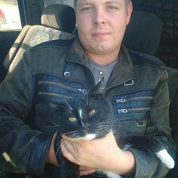 ��������, 38 ���, ������