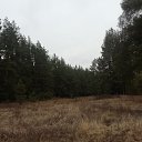 ���� ������, ������ - ��������� 5 ������� 2025 � ������ ������ ��������