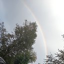 ���� �����, ������ ��������, 61 ��� - ��������� 3 ������� 2025 � ������ ���� ����������