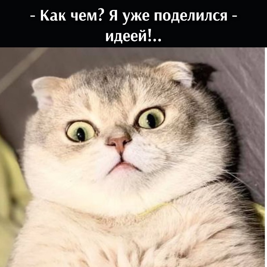 ��� ���� � ����� �� �� - 1 ������ 2026 � 12:30 - 3