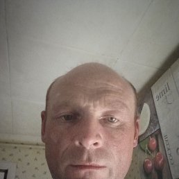 , 43, 