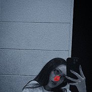 , 25 , 