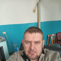 , 37, 