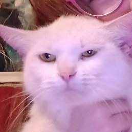 ����, ����, 19 ���