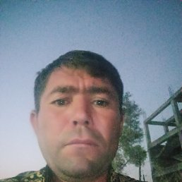 , 41, 