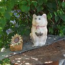 ���� �����, ����������� - ��������� 12 ������� 2024 � ������ ���� ����������