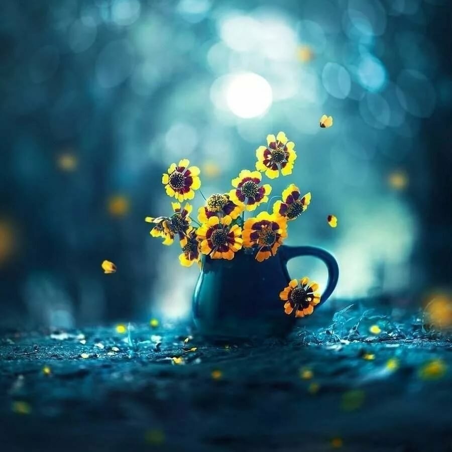 ����� ���� ��������� �������� �������� � ����� ���������� � ����� ���������.