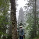 ���� �������, ������� - ��������� 25 ������� 2025 � ������ ���� ����������